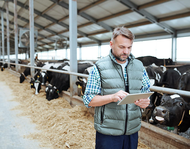 Financial solutions for any-sized farm